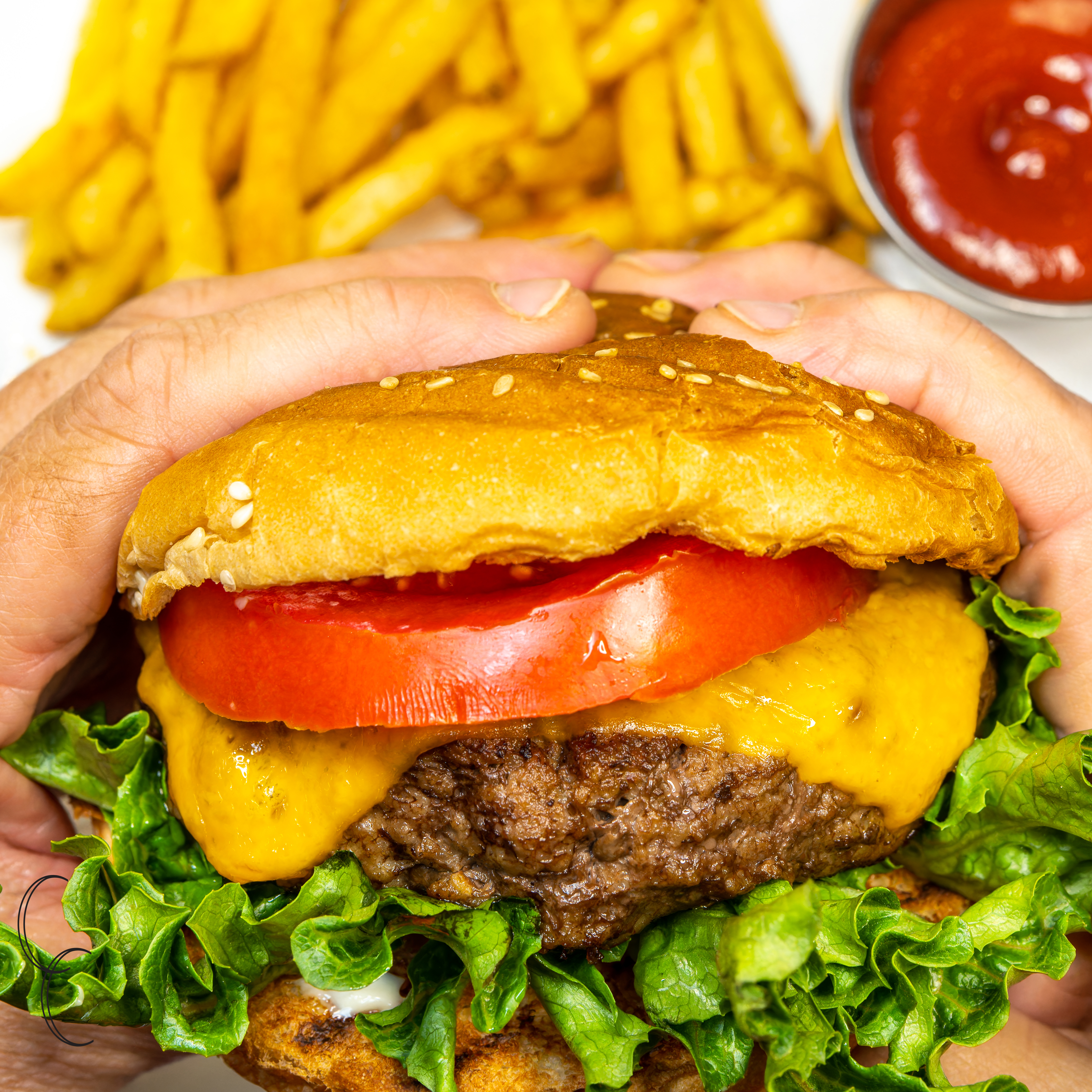 Burger and Fries